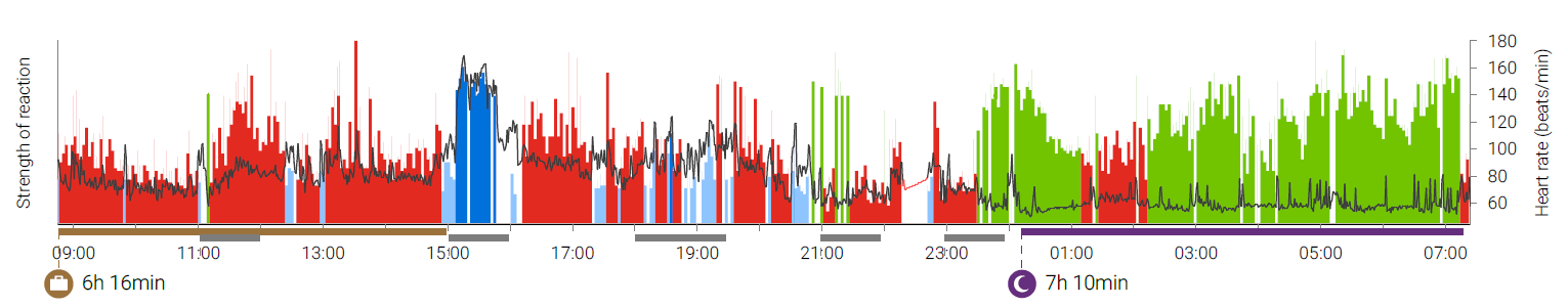 Firstbeat Lifestyle Assessment daygraph