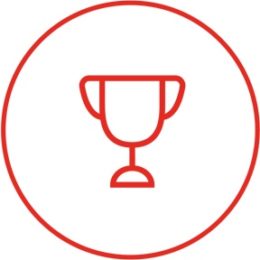 Icon-optimizeperformance-red-260x260