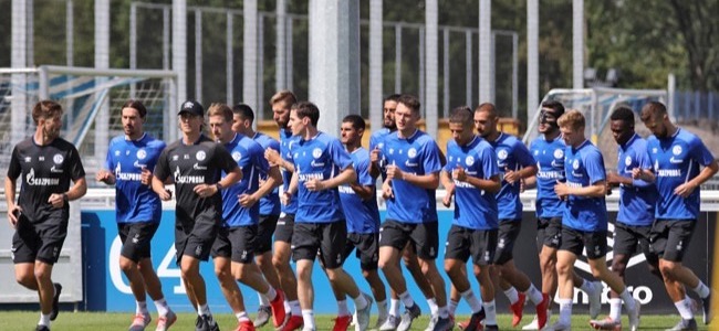 Firstbeat-Sports-Newsletter-Schalke-1-1