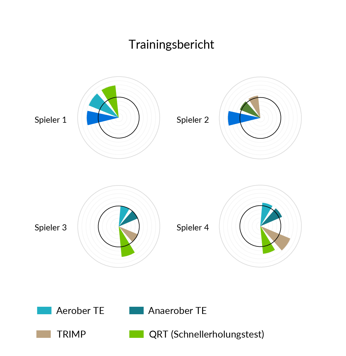 Firstbeat Sport | Gruppen- und Individualberichte